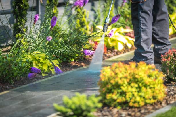  South Elgin, IL Pressure Washing Pros